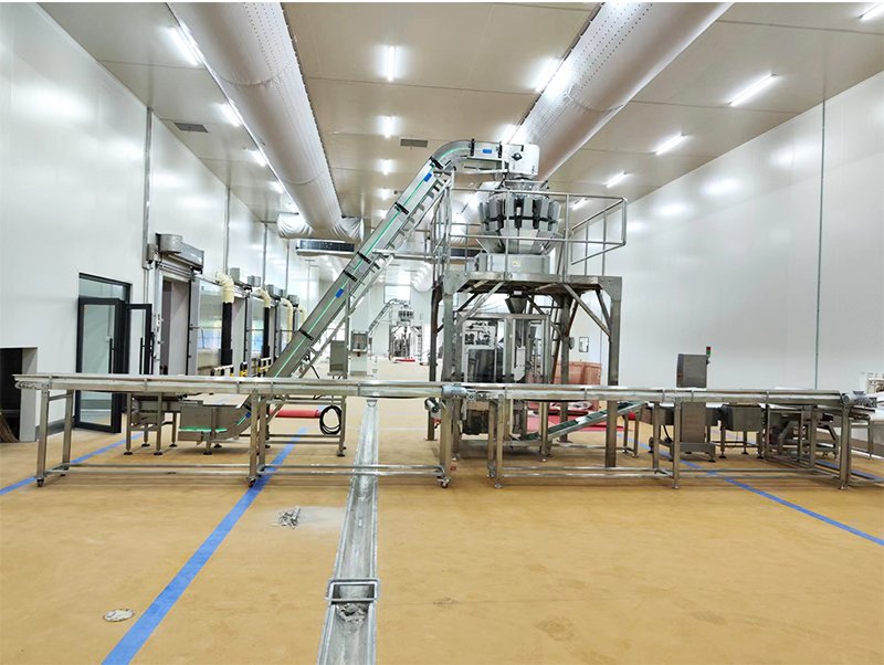 automatski stroj za pakiranje forzen hrane