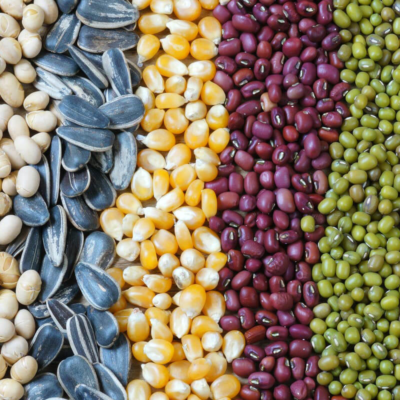 Automatski stroj za pakiranje sjemena